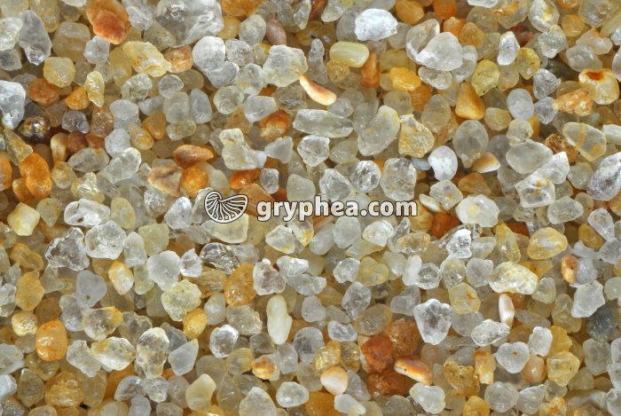 Sable quartzeux - Plage de La Baule (Loire Atlantique) x4 - gryphea.org